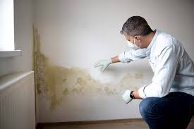 Best Asbestos and Lead Testing During Mold Inspection  in Barnhart, MO